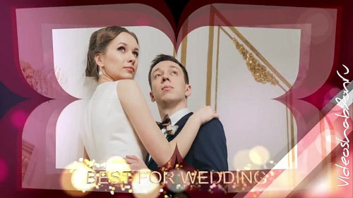 Wedding 77833 - After Effects Templates